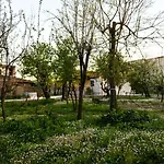 Nicolaus Hidden Gem *