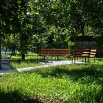 Nicolaus Hidden Gem *