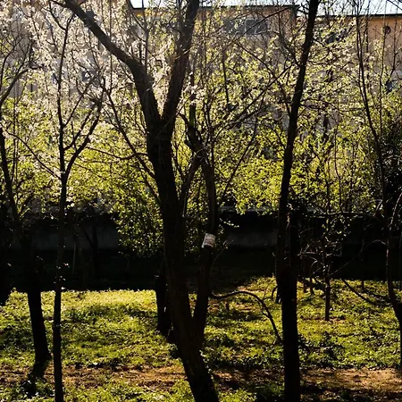 펜션 Nicolaus Hidden Gem Shkodër
