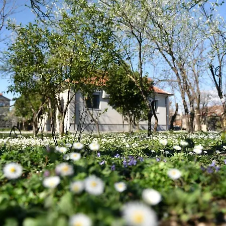 Nicolaus Hidden Gem 펜션