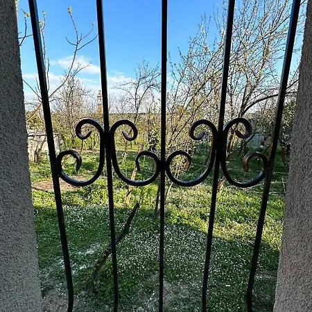 Nicolaus Hidden Gem 펜션 *