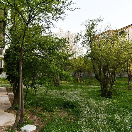 Nicolaus Hidden Gem 펜션 *