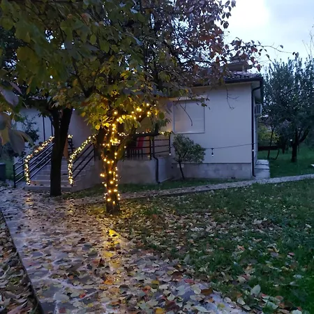 Nicolaus Hidden Gem *