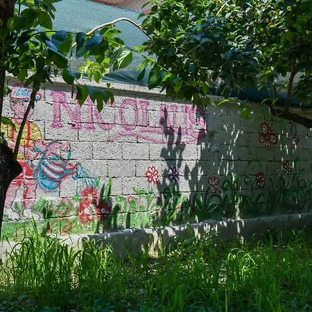 Nicolaus Hidden Gem 펜션 *