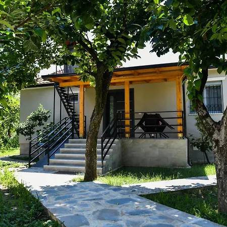 Nicolaus Hidden Gem Shkoder