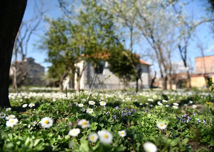 Nicolaus Hidden Gem Vakantiehuis *