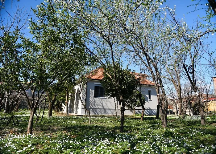 Nicolaus Hidden Gem * Shkodër