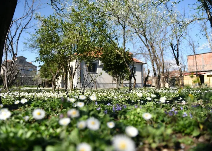 Nicolaus Hidden Gem Feriehus