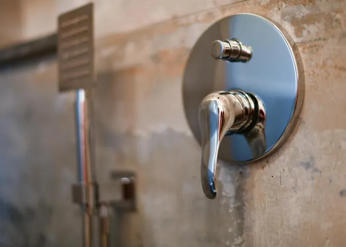 Nicolaus Hidden Gem *