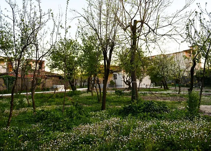 Nicolaus Hidden Gem *