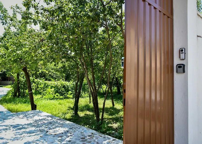 Nicolaus Hidden Gem *