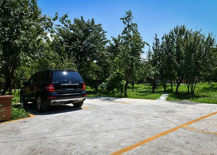 Nicolaus Hidden Gem Shkodër