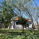 Nicolaus Hidden Gem * Shkodër