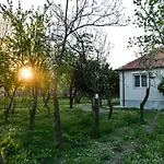 Nicolaus Hidden Gem *