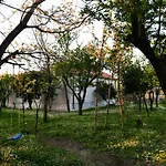 Nicolaus Hidden Gem
