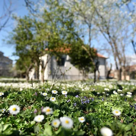 Nicolaus Hidden Gem Сasa de vacaciones *