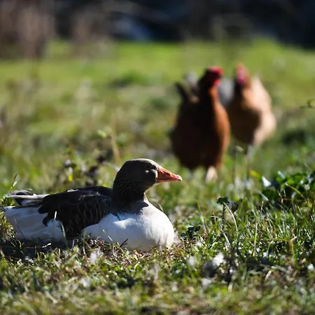 Σπίτι διακοπών Nicolaus Hidden Gem Σκόδρα
