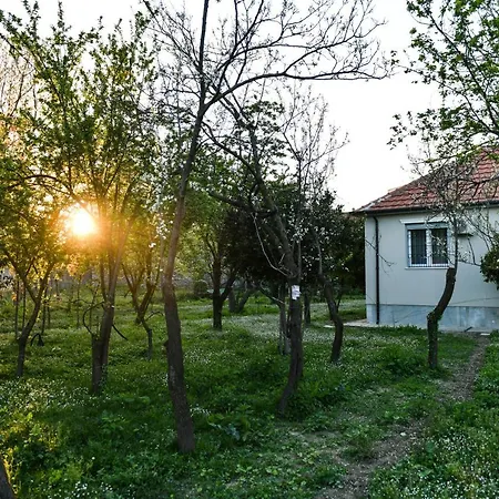 Nicolaus Hidden Gem *