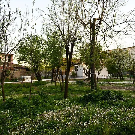 Nicolaus Hidden Gem *