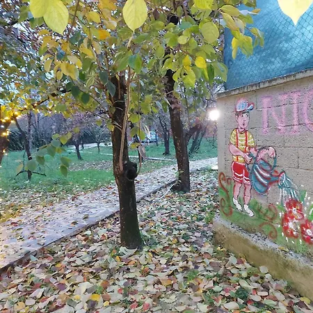 Nicolaus Hidden Gem Shkodra