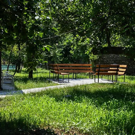 Nicolaus Hidden Gem *