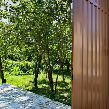 Nicolaus Hidden Gem *