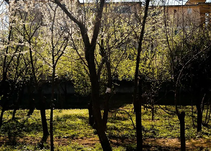 Nyaraló Nicolaus Hidden Gem Shkodra