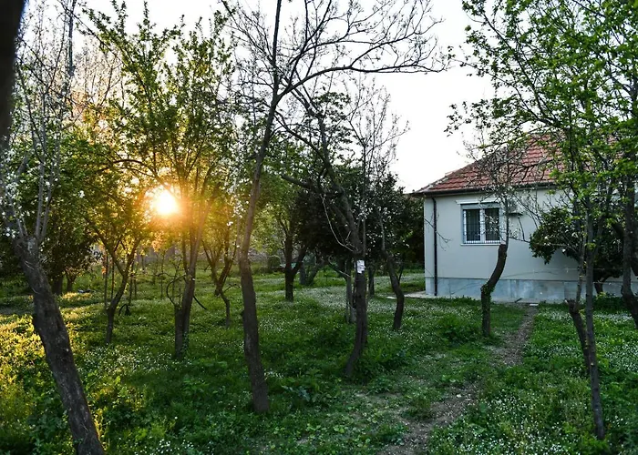 Nicolaus Hidden Gem *